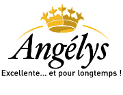 Logo Angelys SansFond